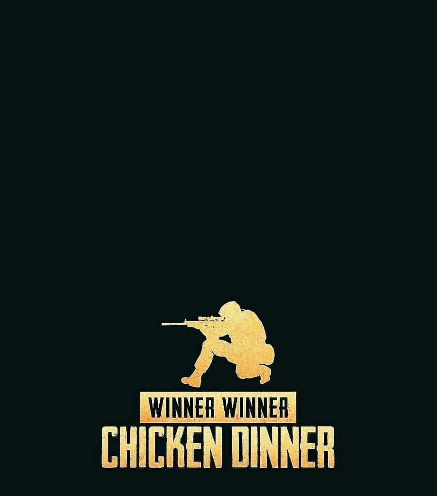 Pubg Logo on a blue and white gradient background
