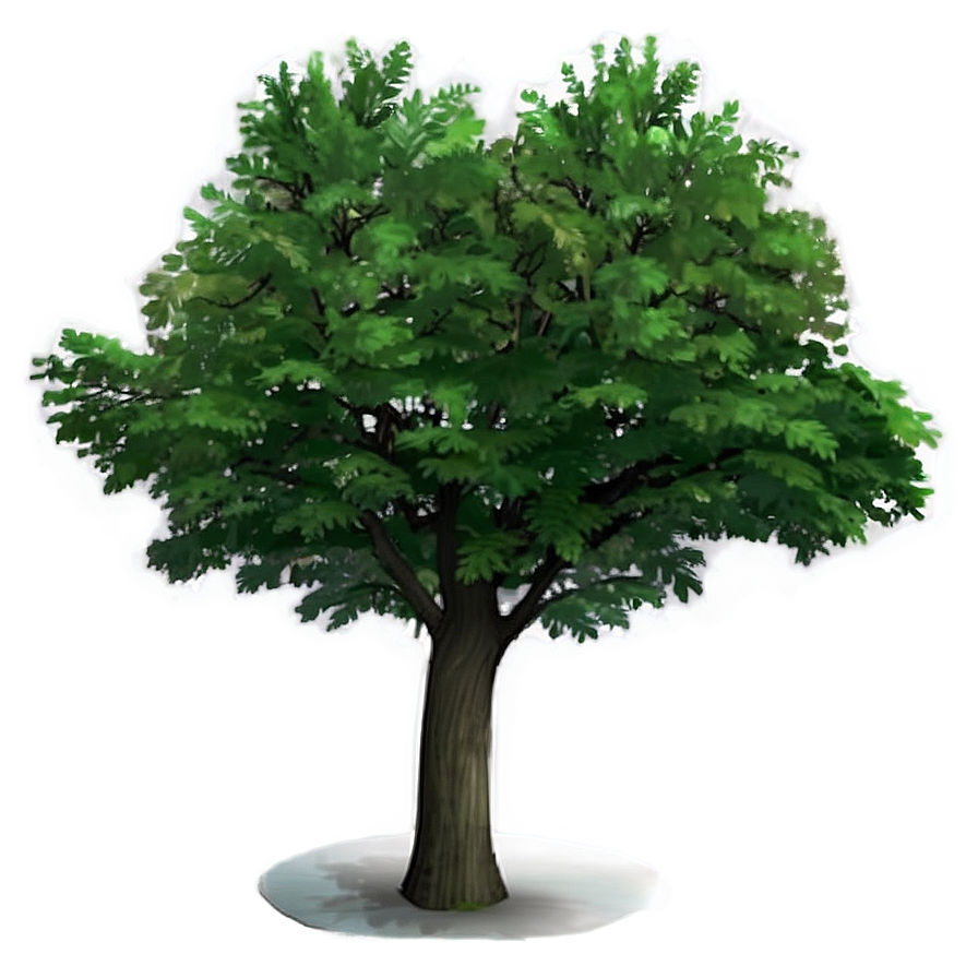 Public Park Tree Plan Png Qnd PNG