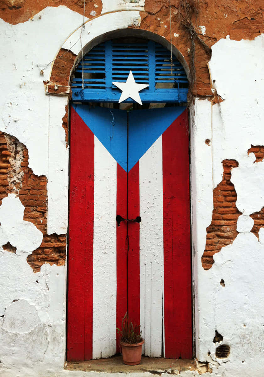 Tag et afslappende pause i fredelig Puerto Rico. Wallpaper