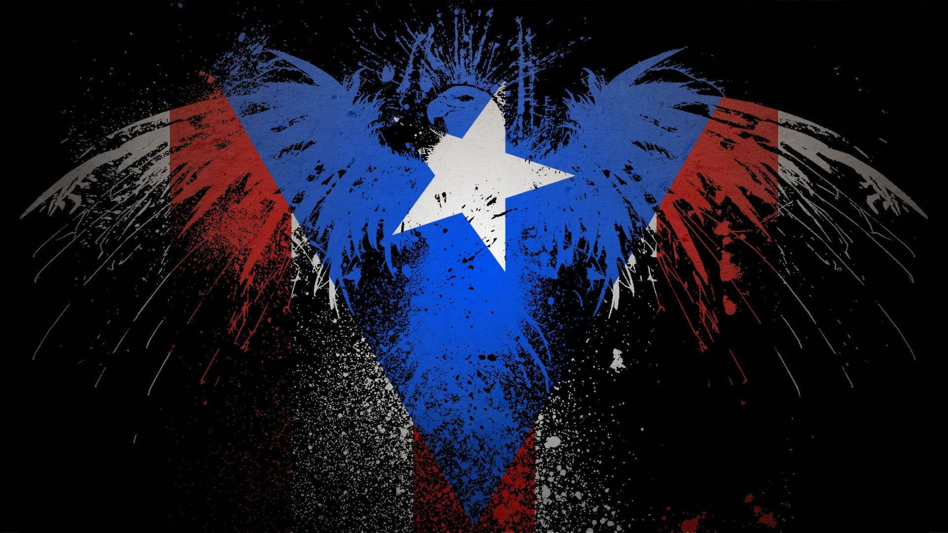 Puerto Rican Flag Colors On Eagle Wallpaper