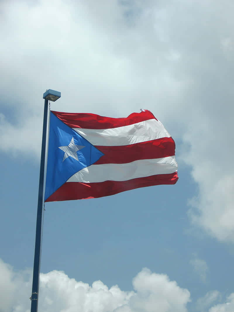 Vivil'incantevole Paesaggio Di Puerto Rico Sfondo