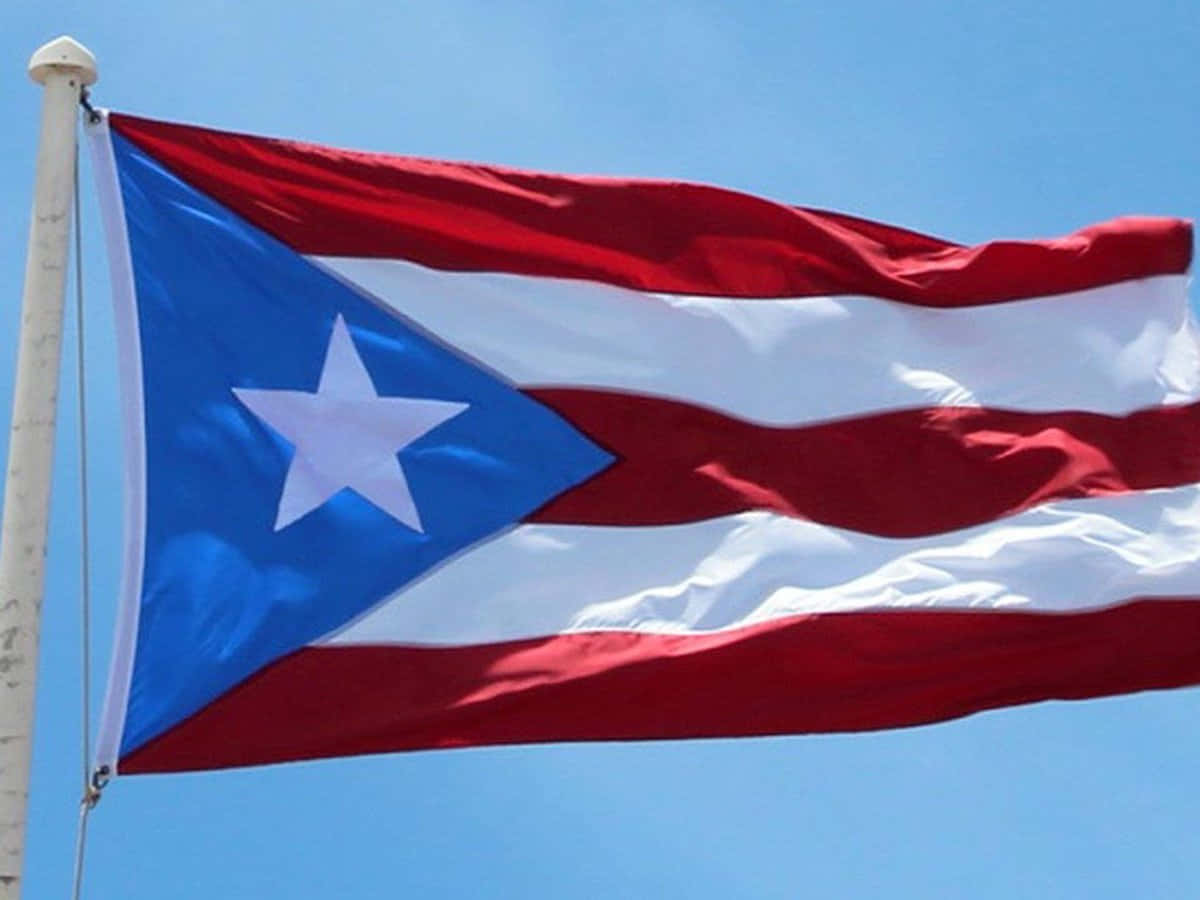 Disfrutandode Las Vistas De La Costa De Puerto Rico Fondo de pantalla