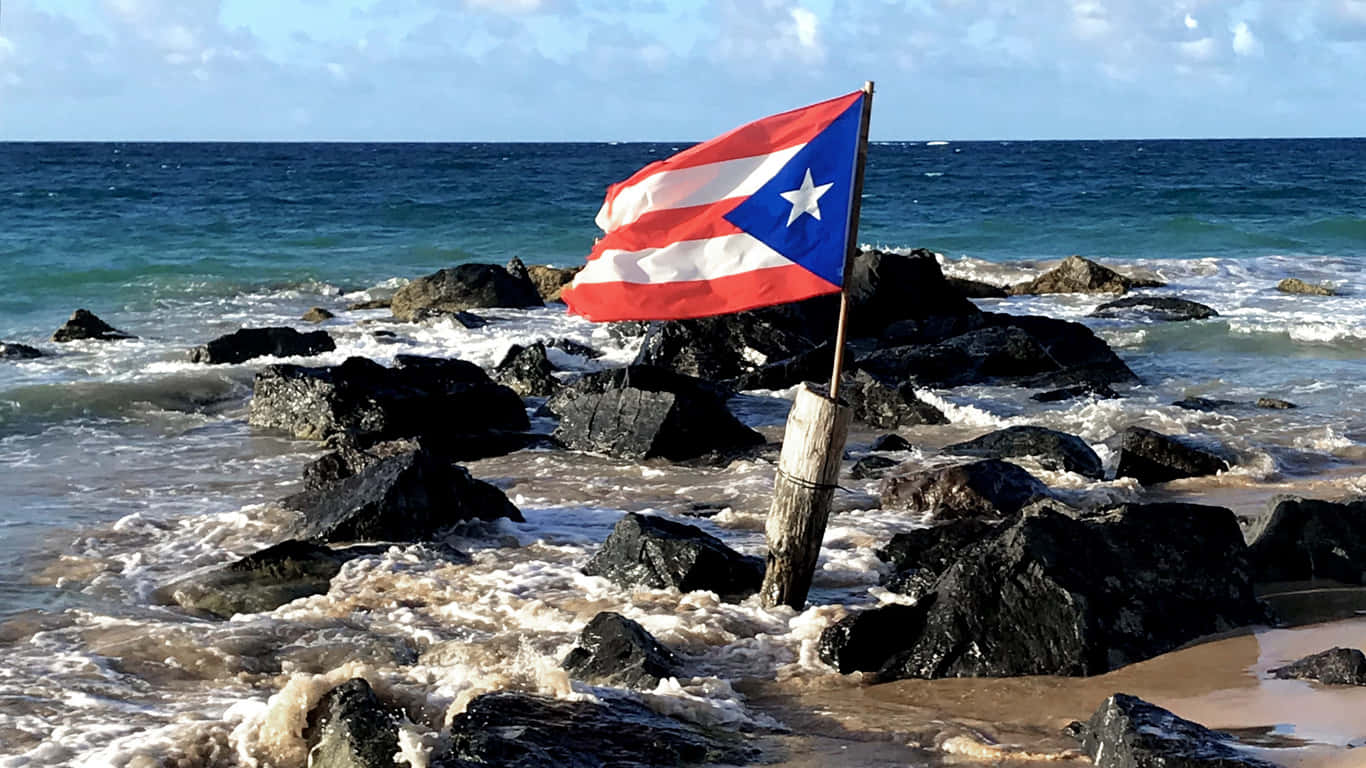 Free download 3 HD Puerto Rico Flag Wallpapers HDWallSourcecom 1920x1200  for your Desktop Mobile  Tablet  Explore 69 Pr Flag Wallpaper  British  Flag Background Flag Background Wallpaper Palestinian Flag Wallpaper
