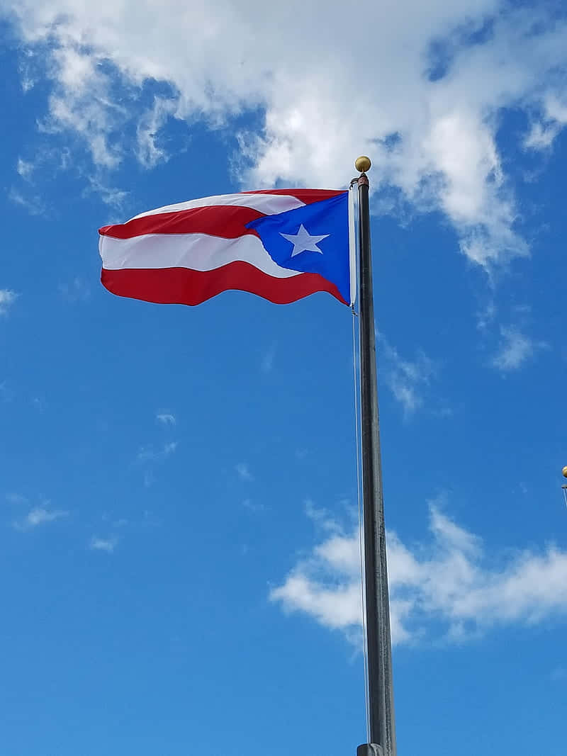 Download Free Puerto Rico Backgrounds  PixelsTalkNet