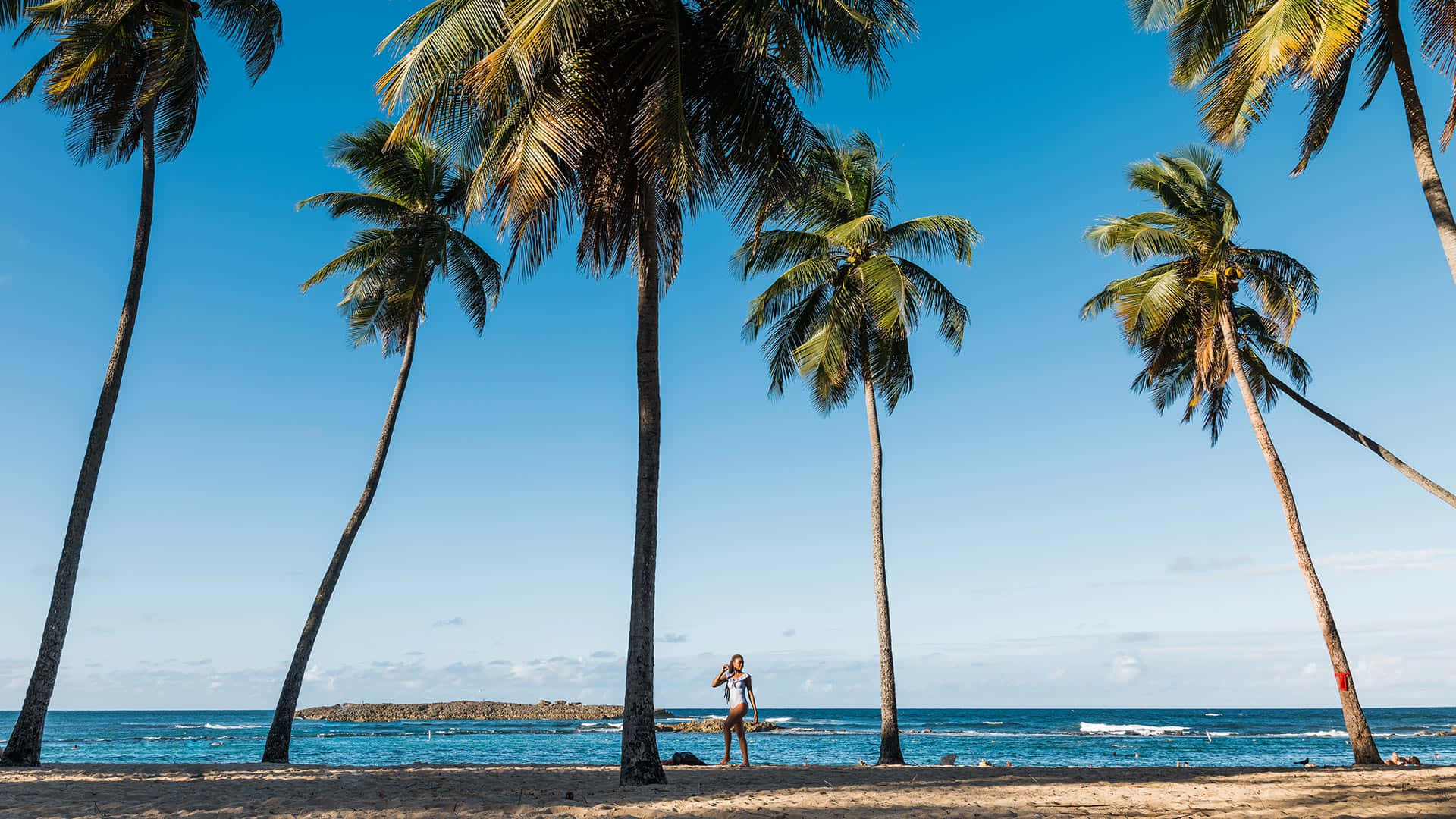 Puerto Rico Beach Palmsand Strolling Woman Wallpaper