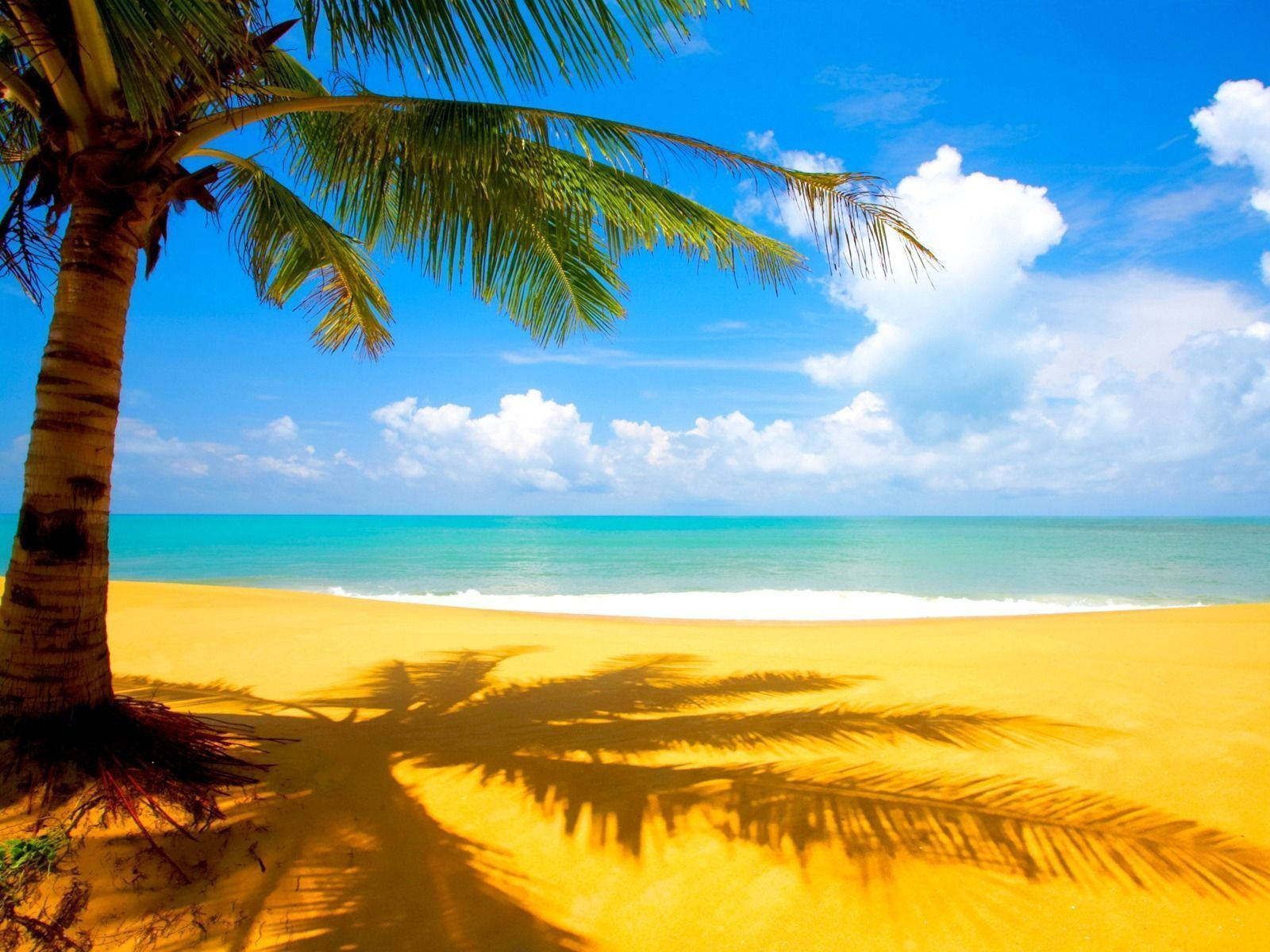 Puerto Rico Relaxing Summer Beach Wallpaper