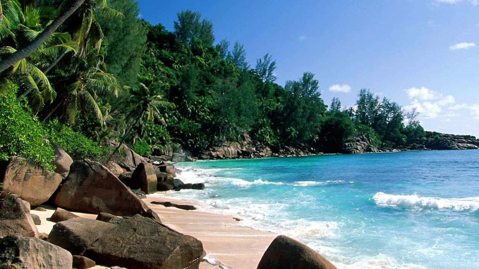 Puerto Rico Tropical Beach Paradise Wallpaper