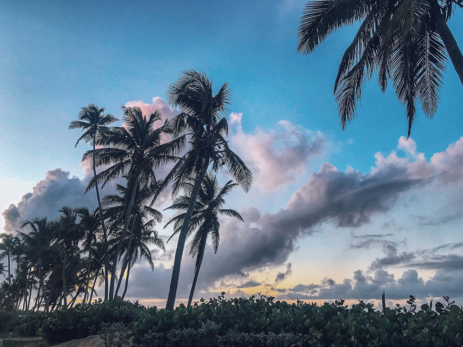 Puerto Rico Tropische Zonsondergang Achtergrond