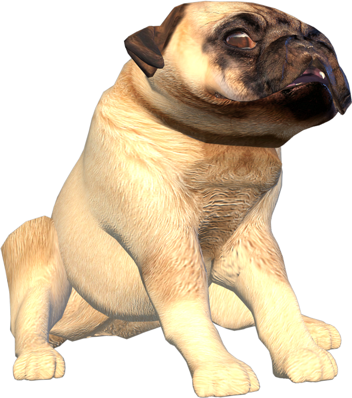 Pug Dog3 D Model PNG