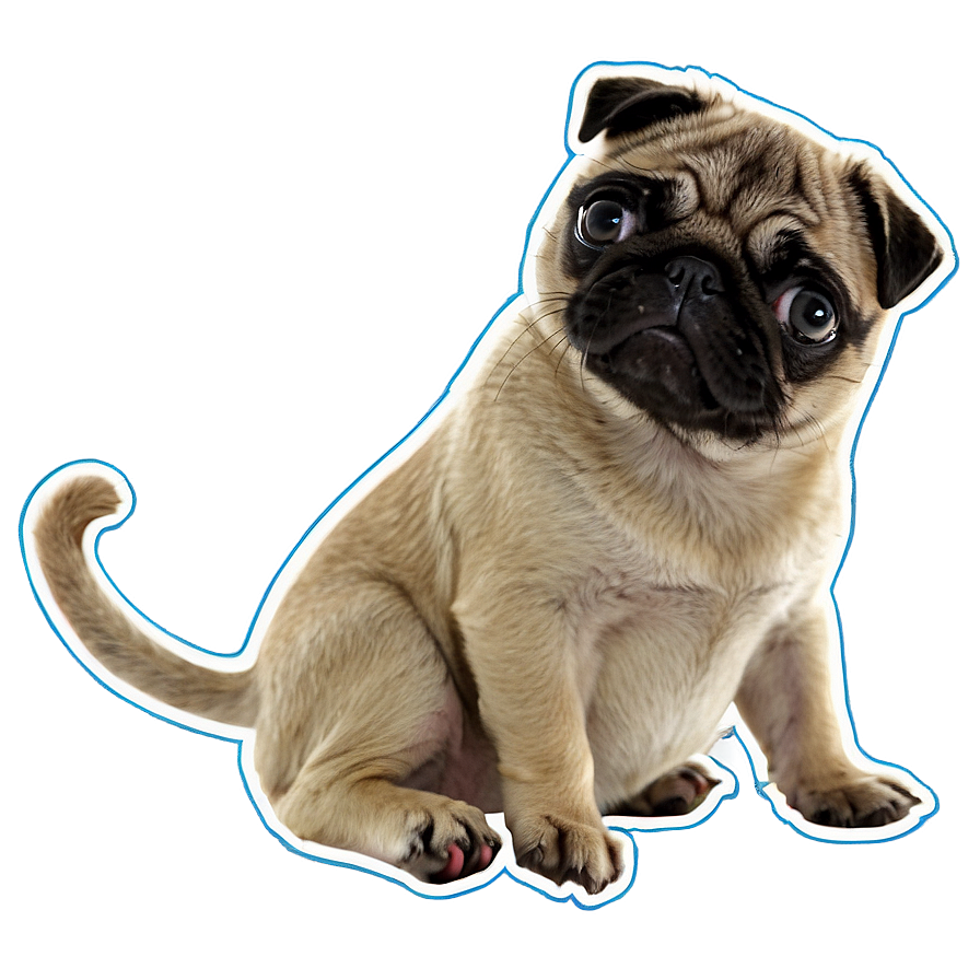 Pug With Kitten Png 05232024 PNG
