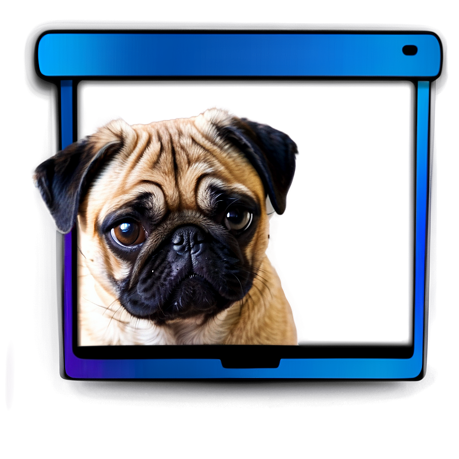 Pug With Laptop Png 22 PNG