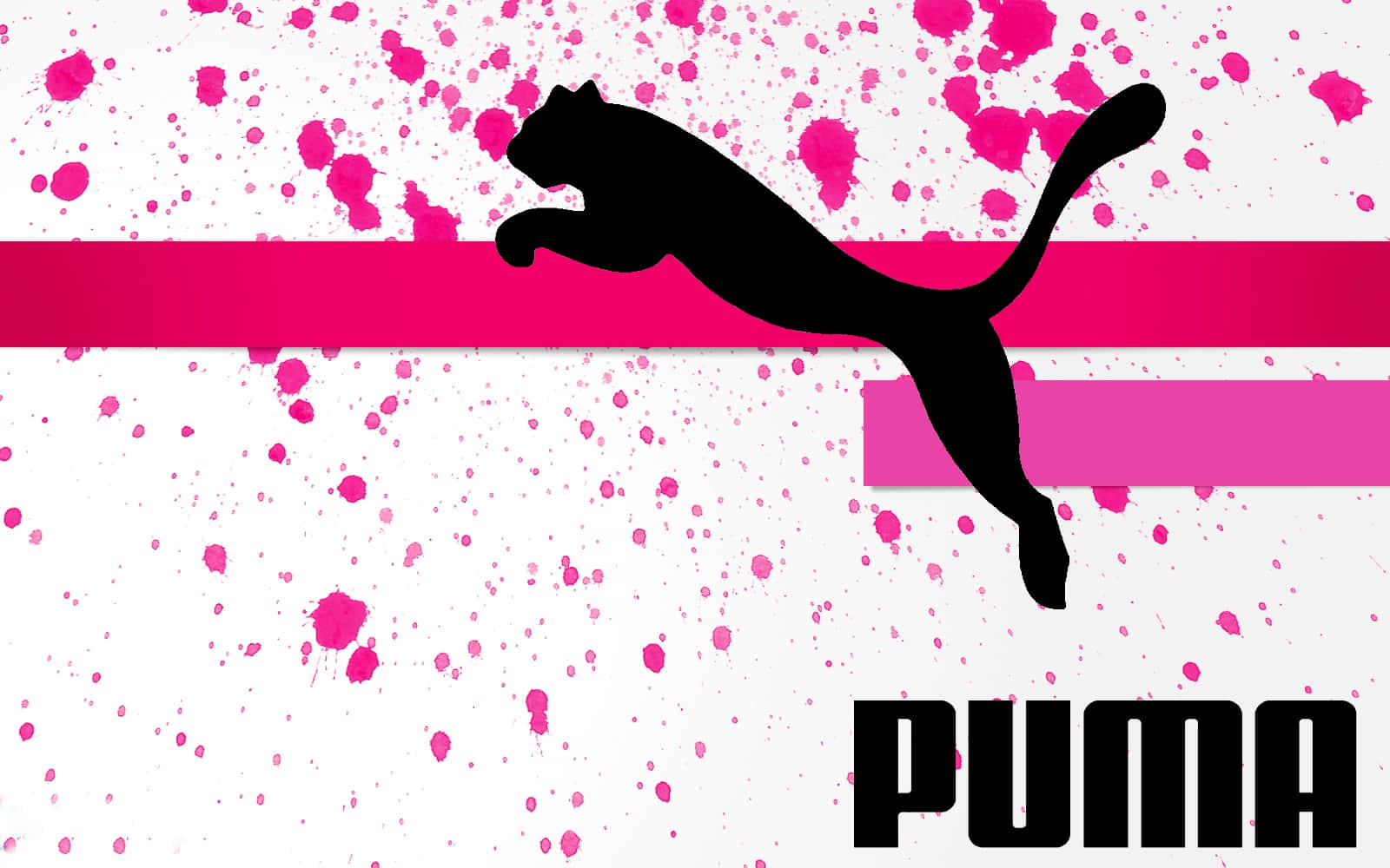 Puma Background