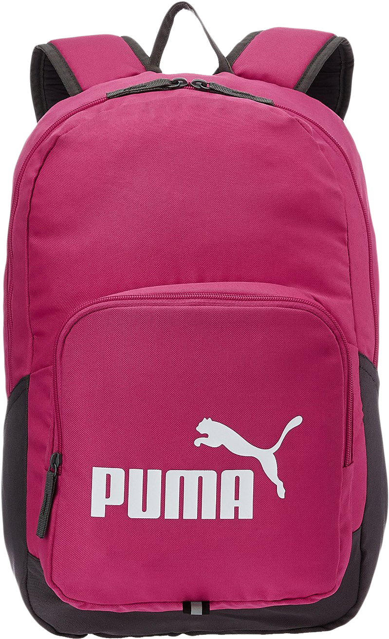 Puma Brand Backpack Maroon PNG