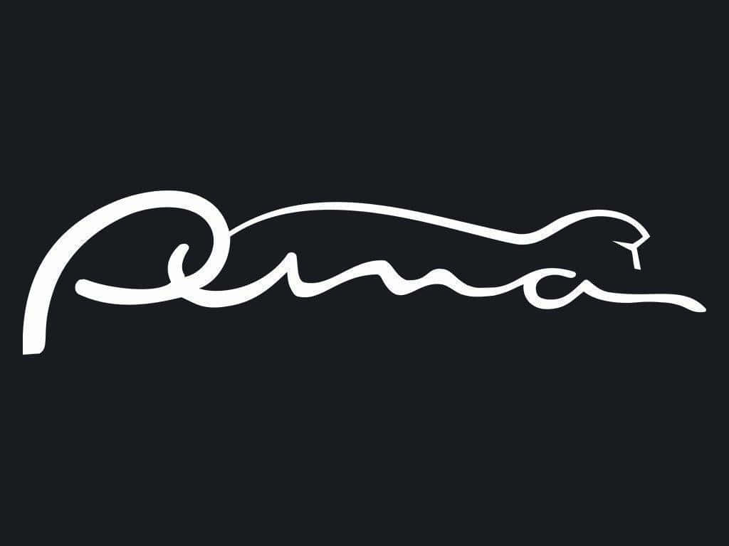 Puma Brand Logo Wallpaper