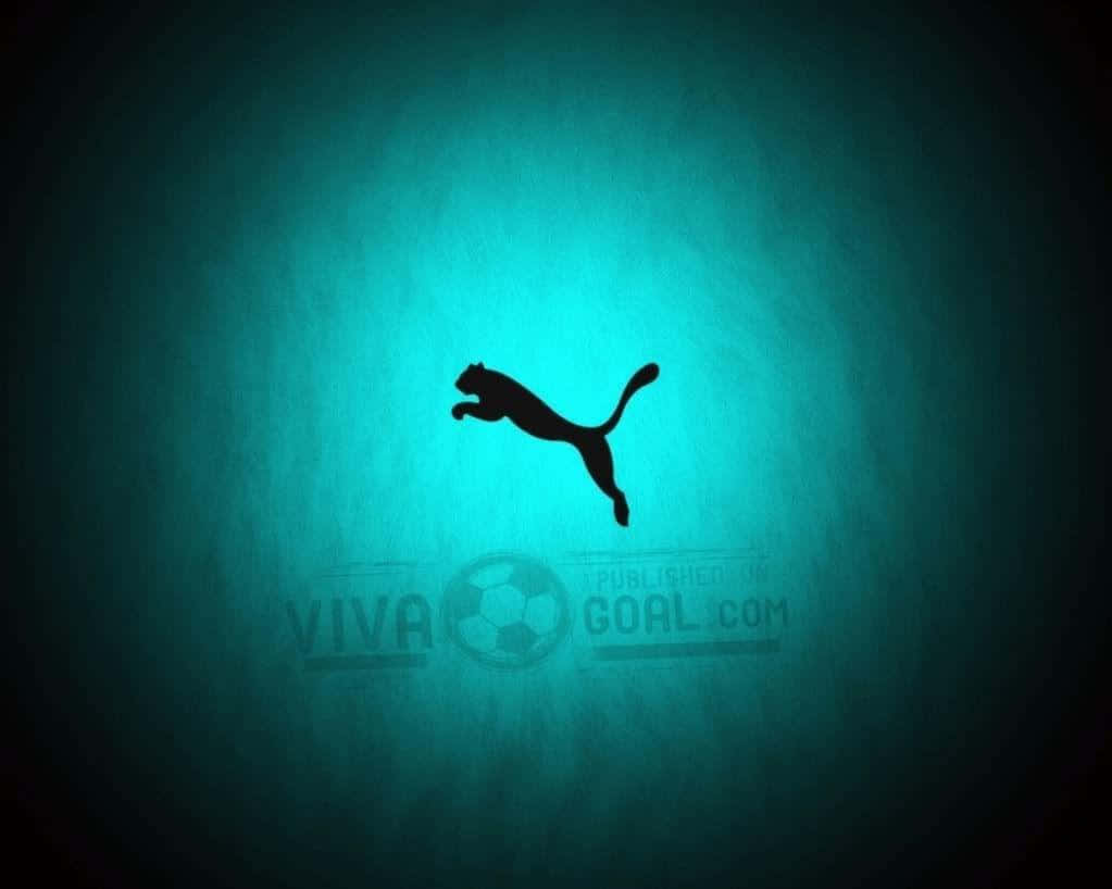 Puma Logo Blue Background Wallpaper