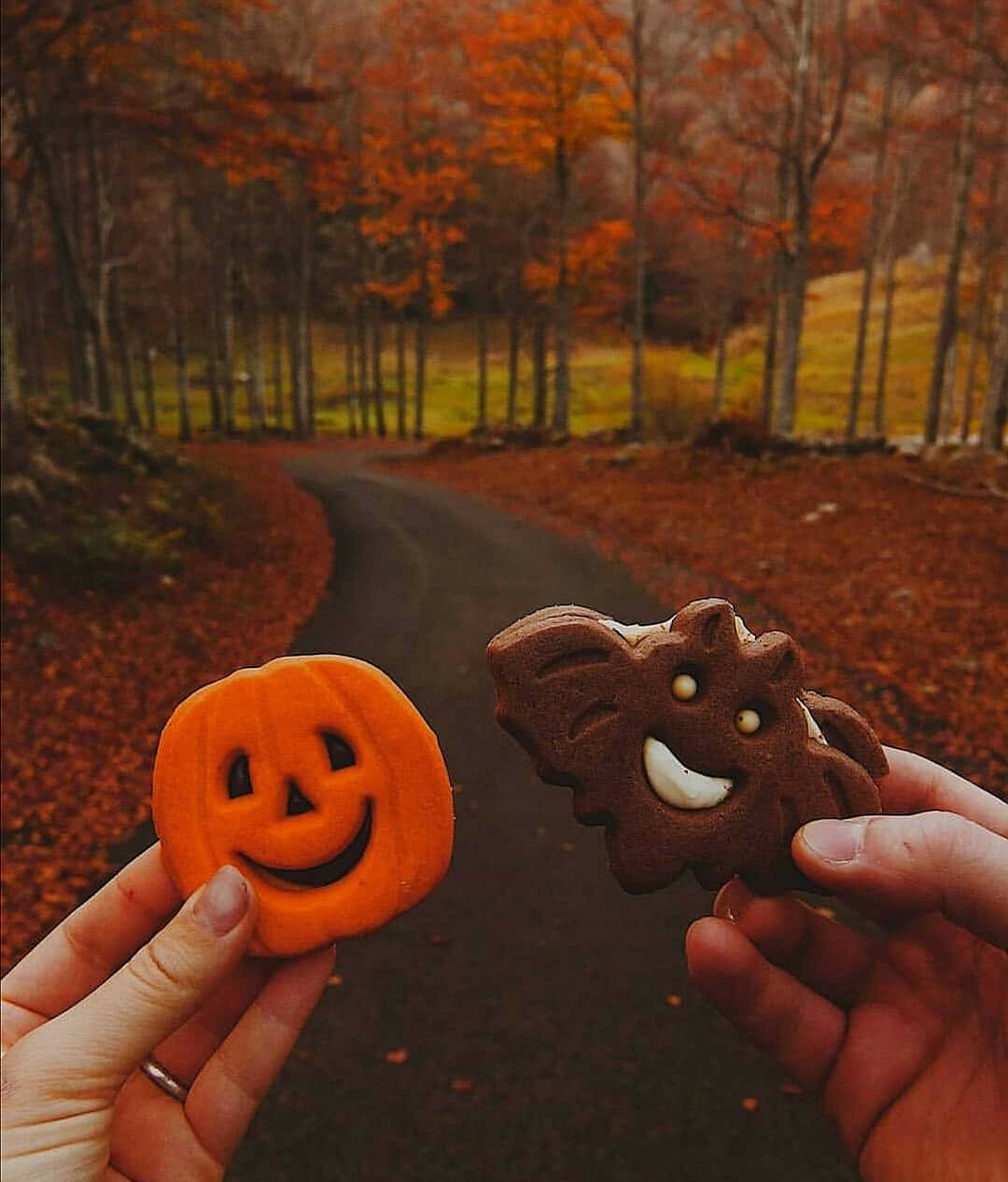 Pumpkin And Bat Cookie Aesthetic Autumn Halloween Wallpaper