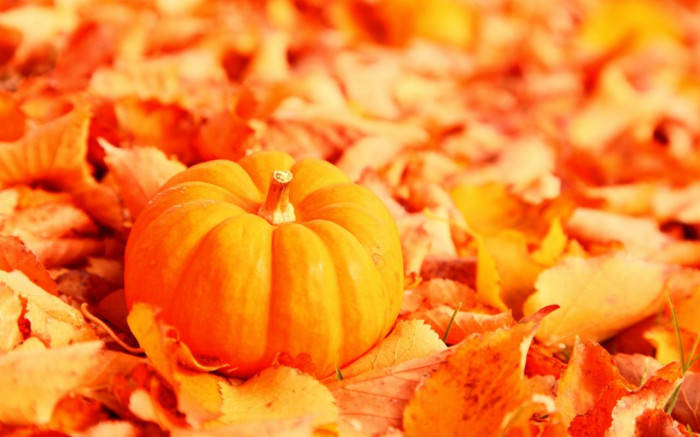 Pumpkin And Dead Leaves Fall Halloween Wallpaper