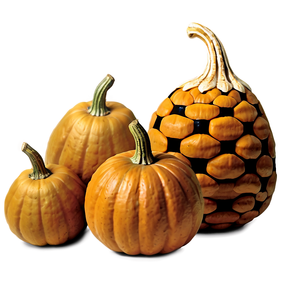 Pumpkin And Gourds Png Jpw27 PNG