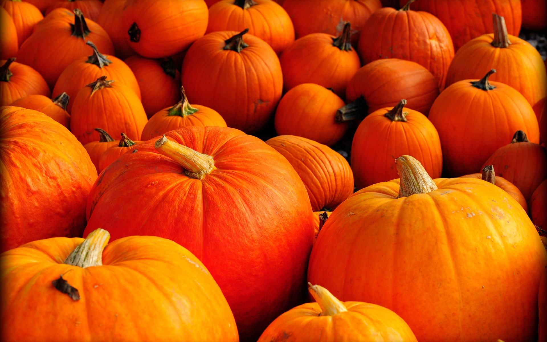 Halloween is coming! Spiced up your celebration with a big pumpkin. Wallpaper
