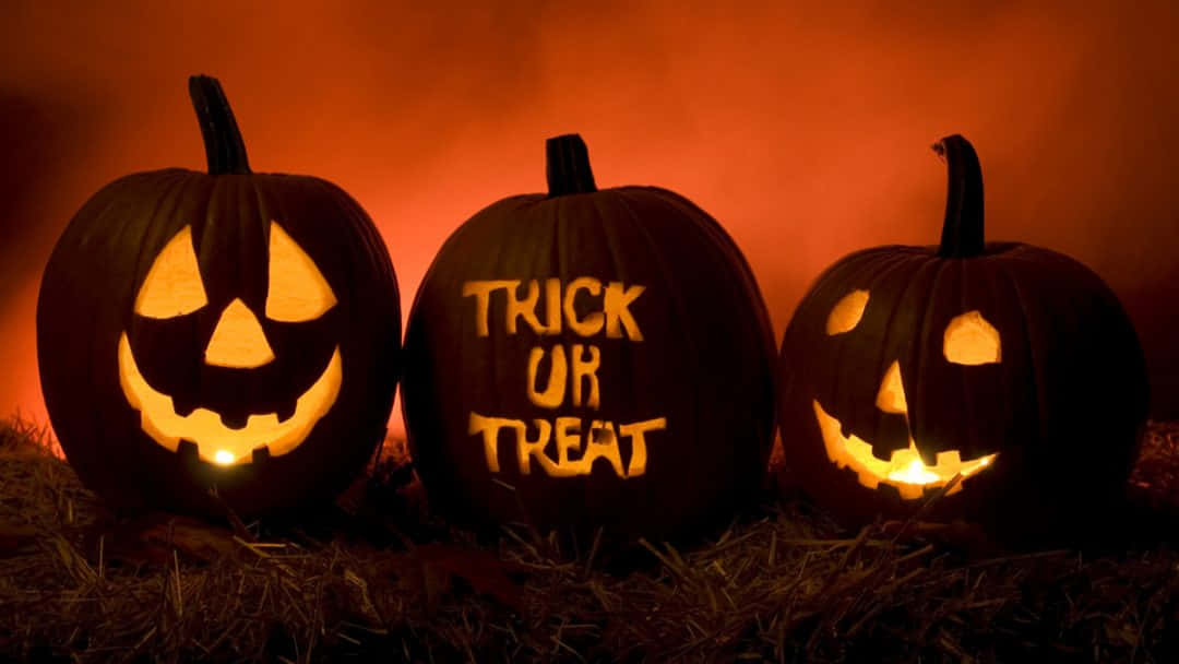 Pumpkin Carve Halloween Pictures