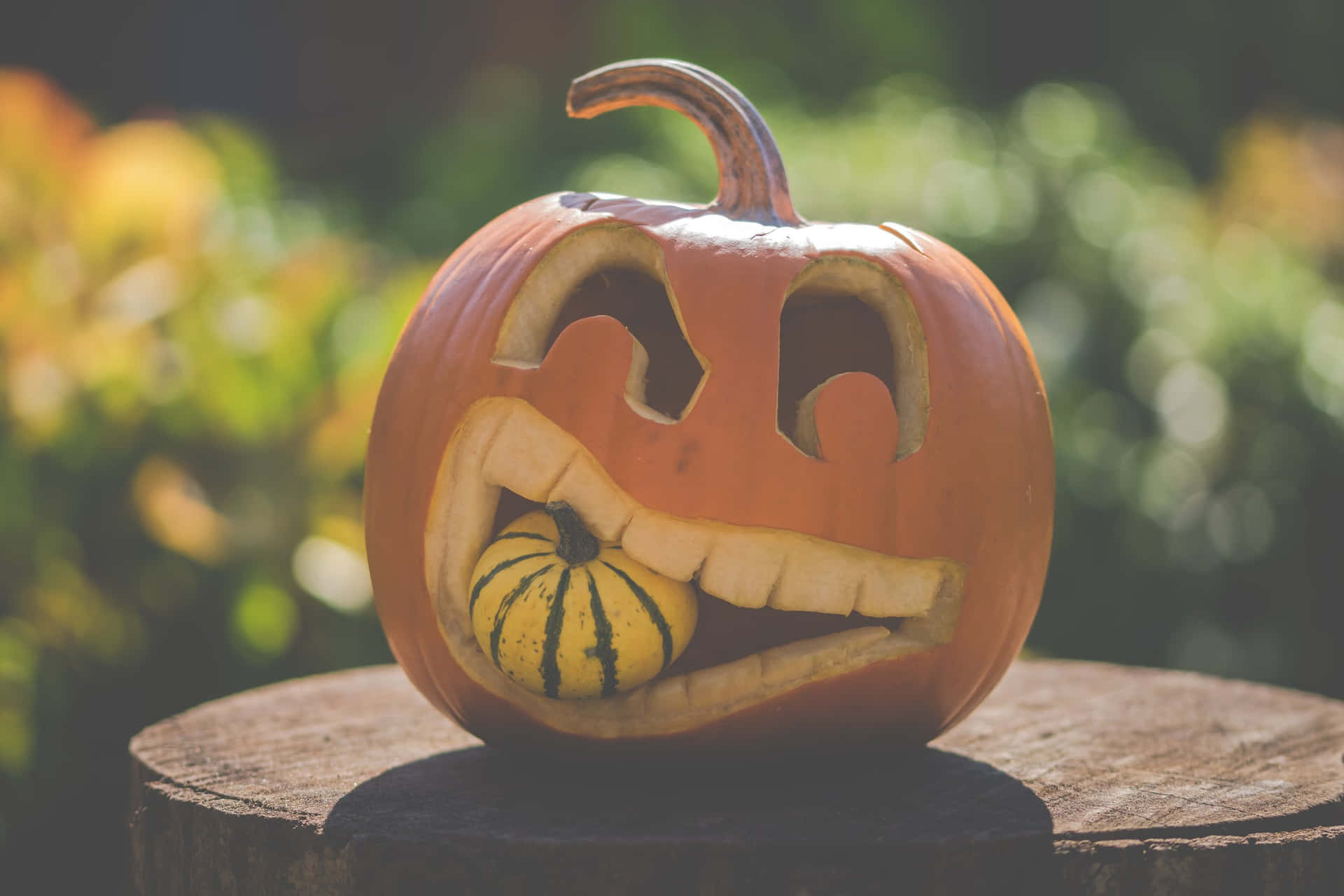 A carefully carved pumpkin display featuring festive Halloween designs.