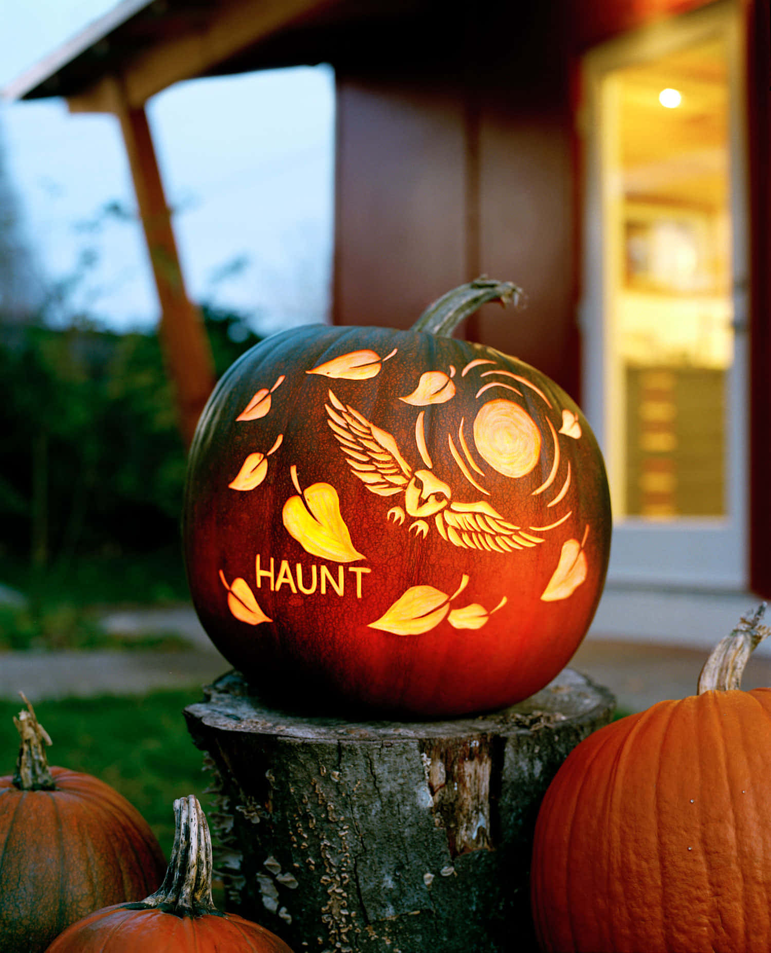 Owl Haunt Pumpkin Carving Pictures