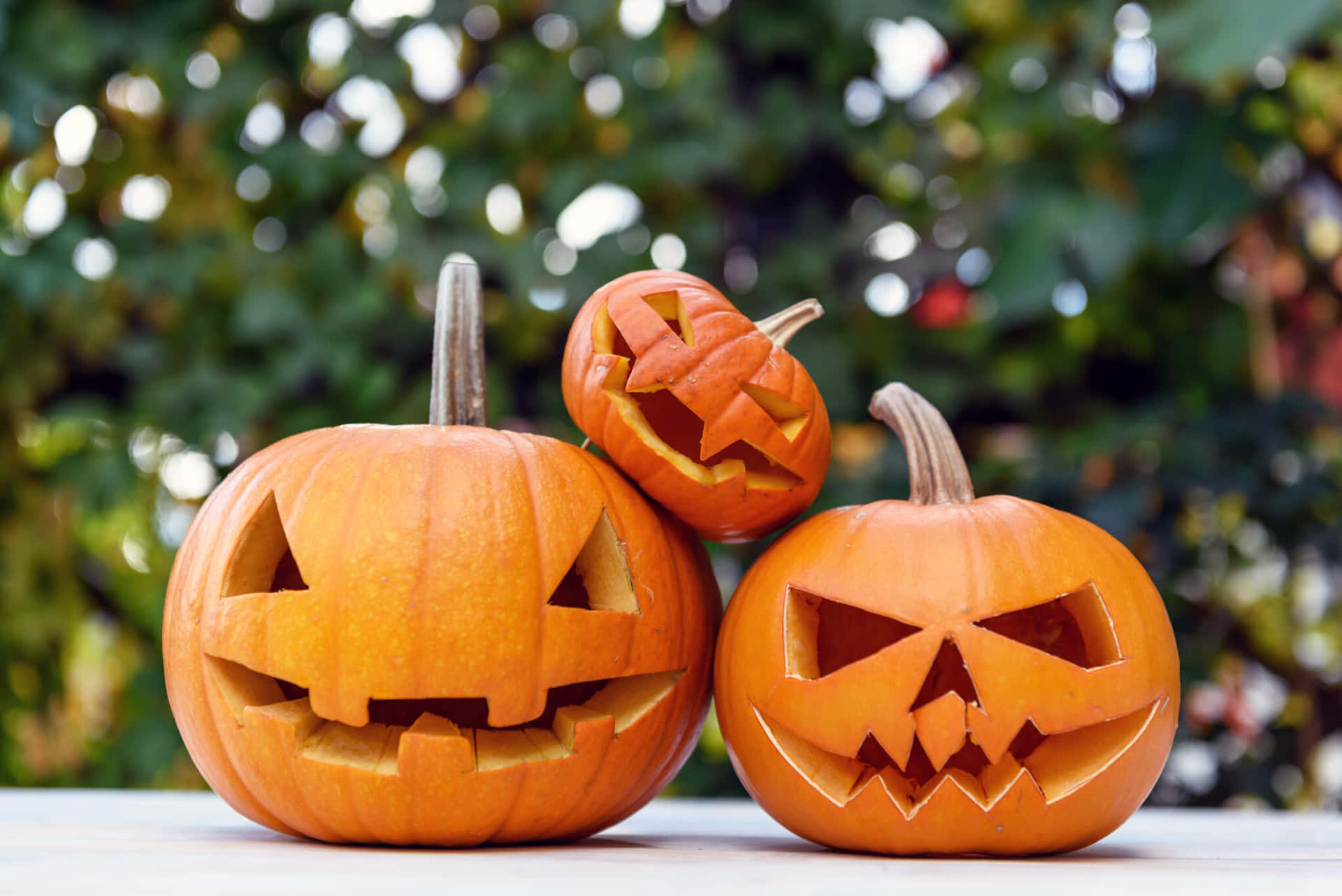 Download Pumpkin Carving In Different Sizes Pictures 2048 x 1367 ...