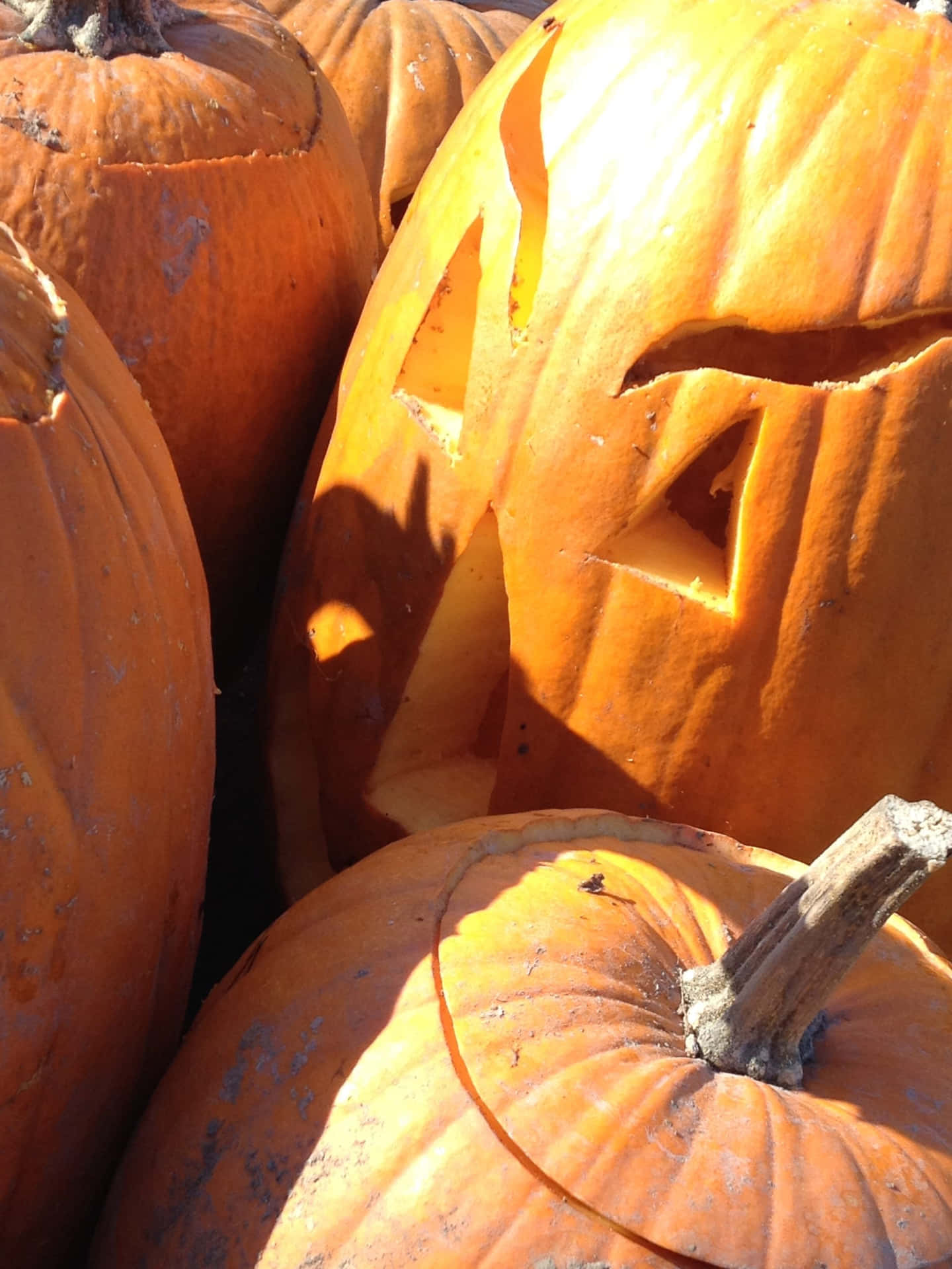 Celebrate the Season with Creative Pumpkin Carving