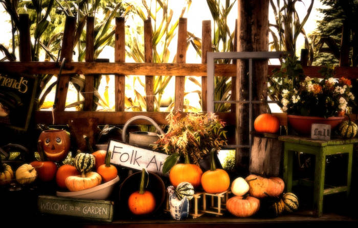 Pumpkin Display On Table Fall Halloween Wallpaper