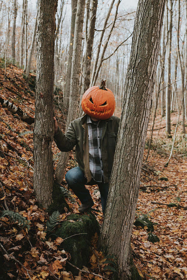 Man With Pumpkin Head On Tree Trunks Picture
