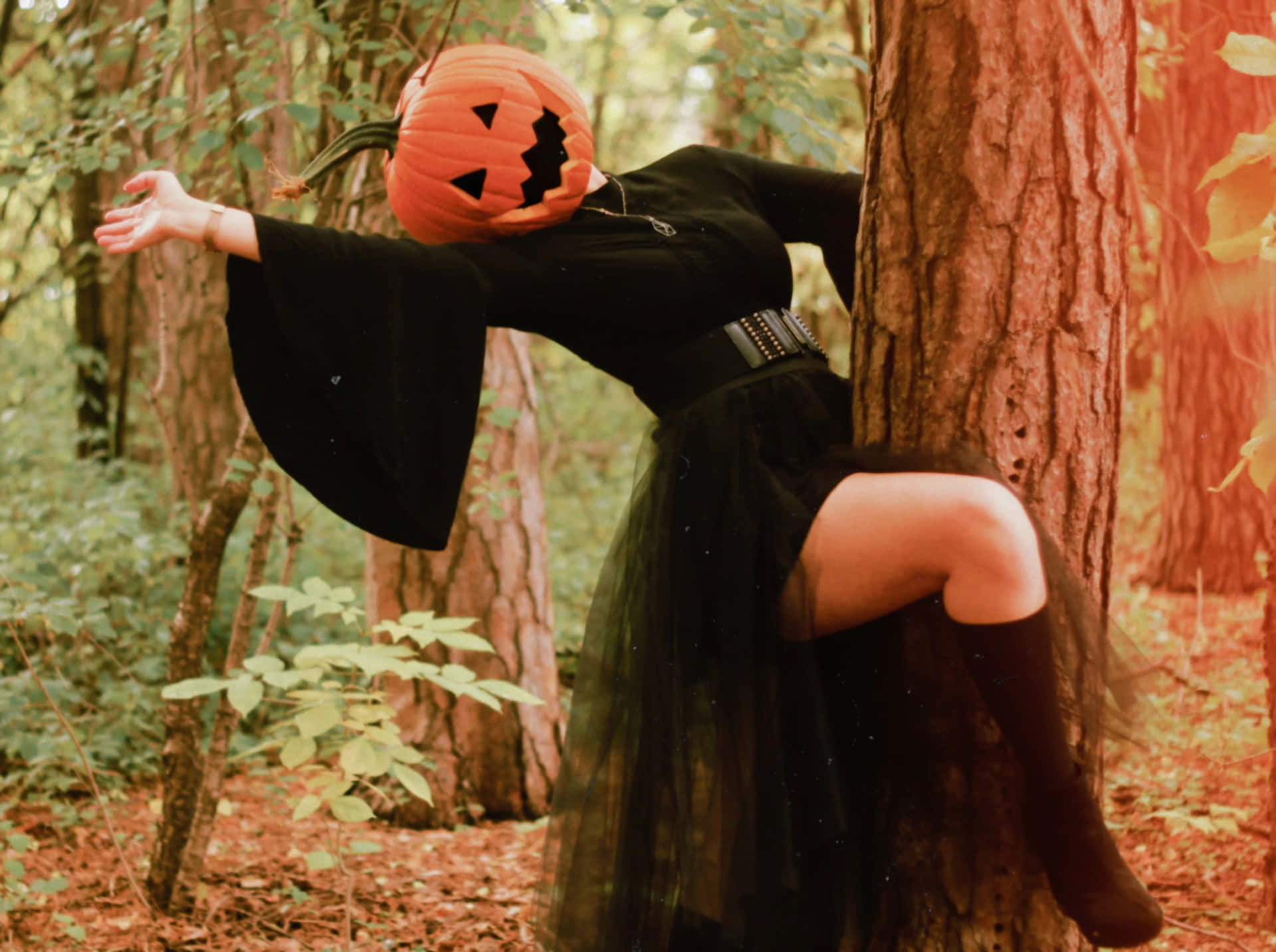 Woman Modeling A Pumpkin Head Picture