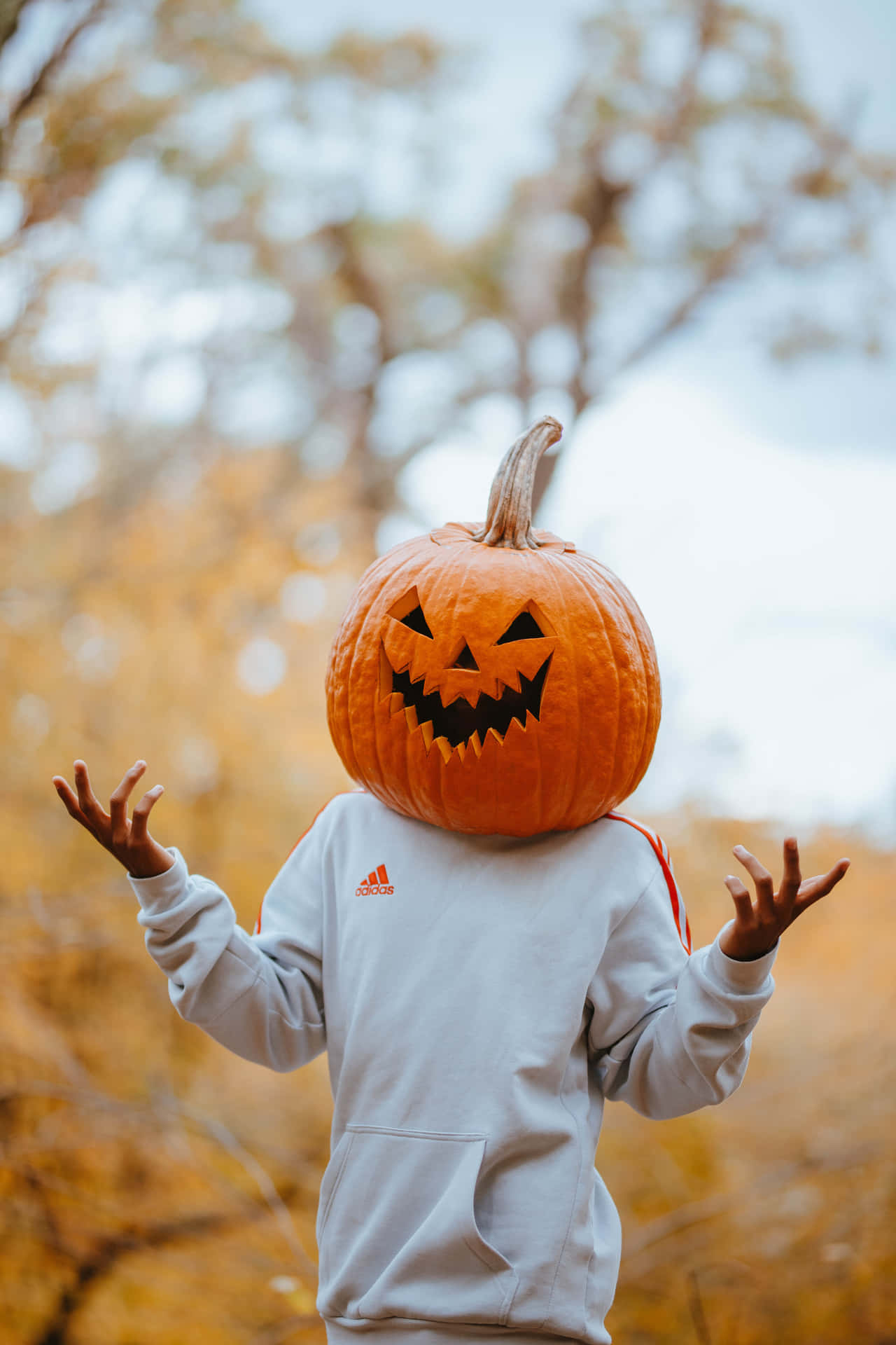 Person Wearing A Pumpkin Head Picture