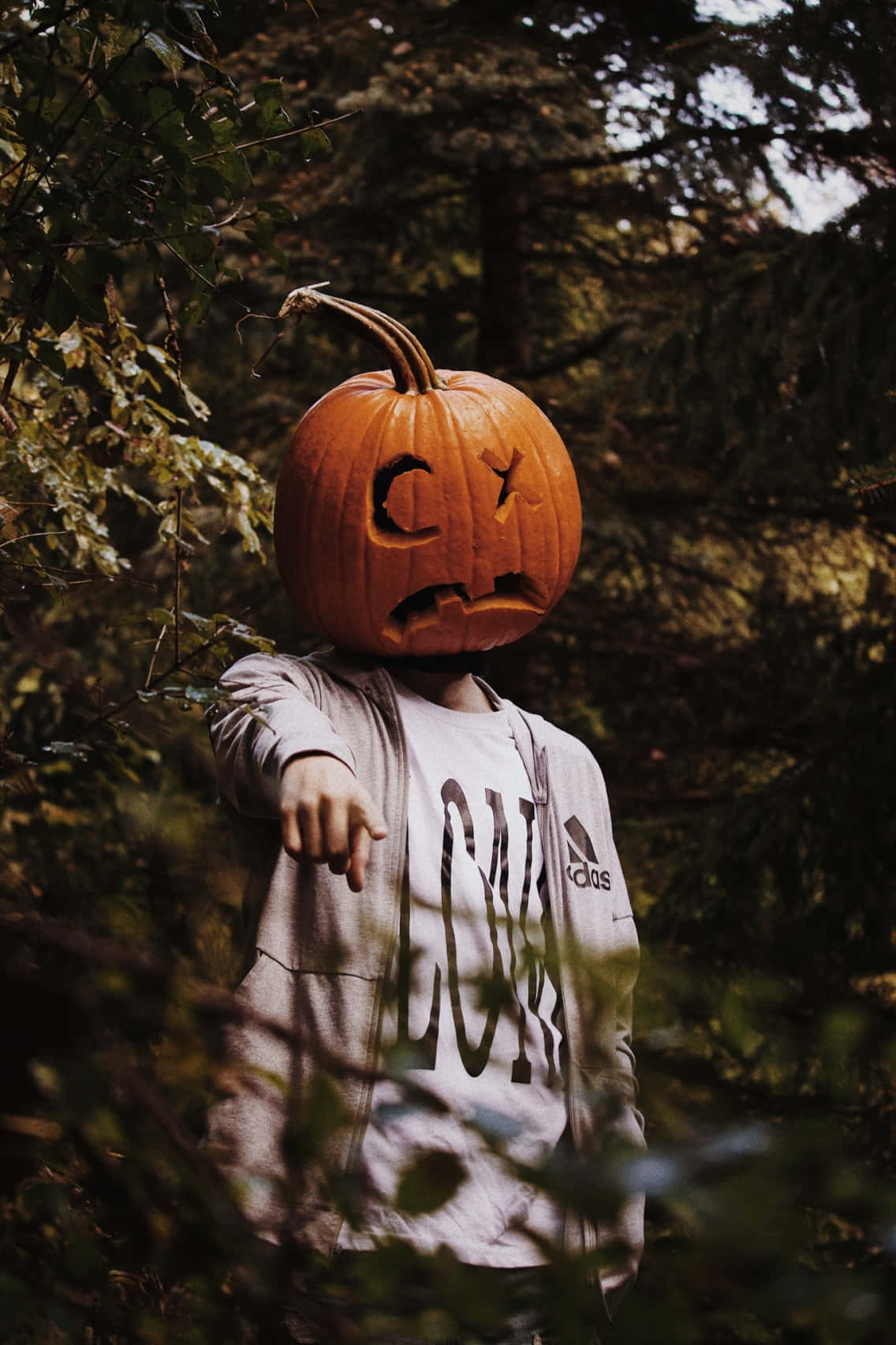 Man In Pumpkin Head Pointing Picture