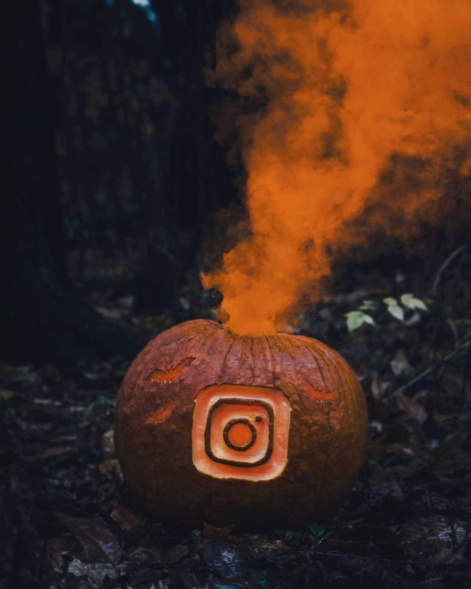 Pumpkin Instagram Logo Engraving Background