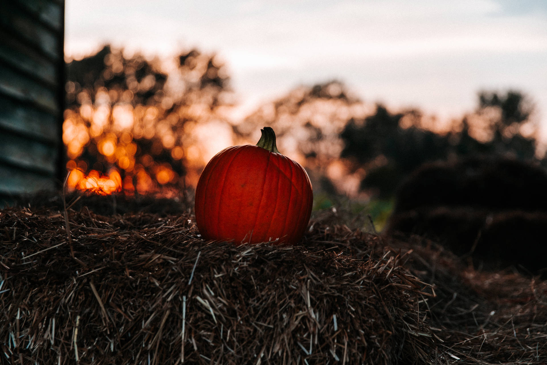 Pumpkins nestled in hay provide an idyllic autumnal display. Wallpaper