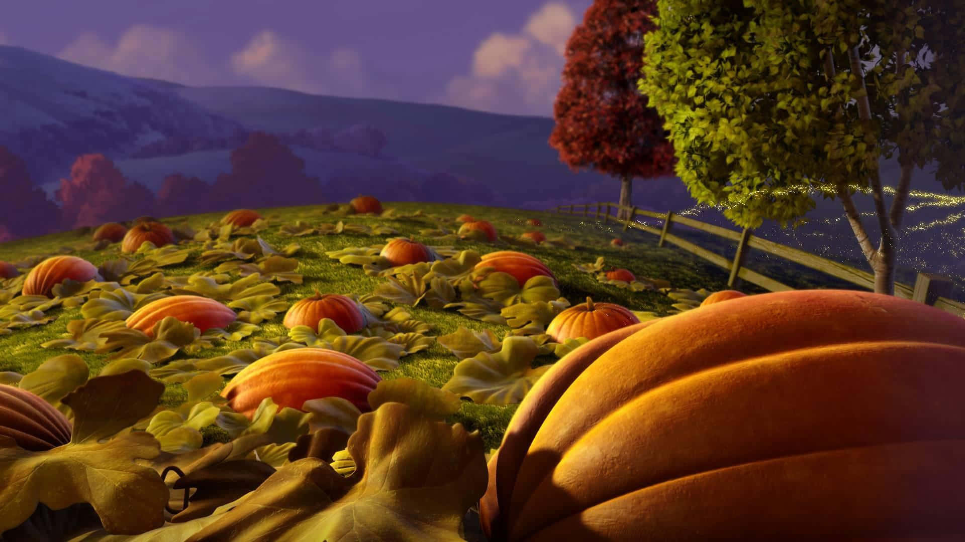 Planted Pumpkin Patch Background