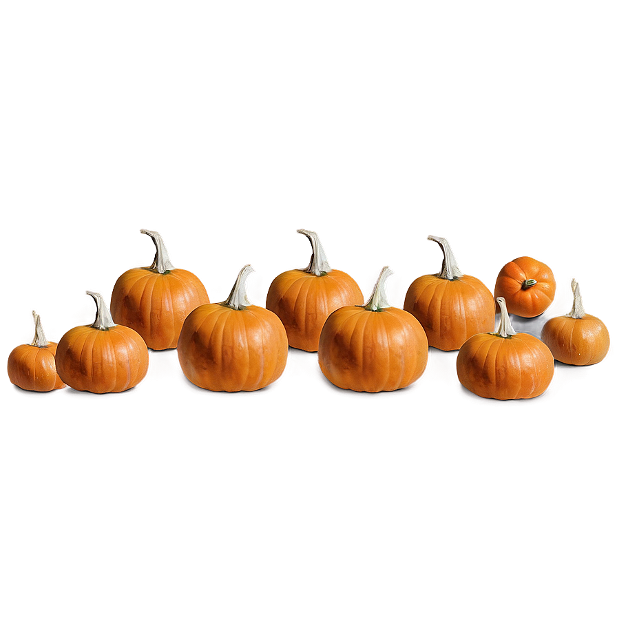 Pumpkin Patch C PNG