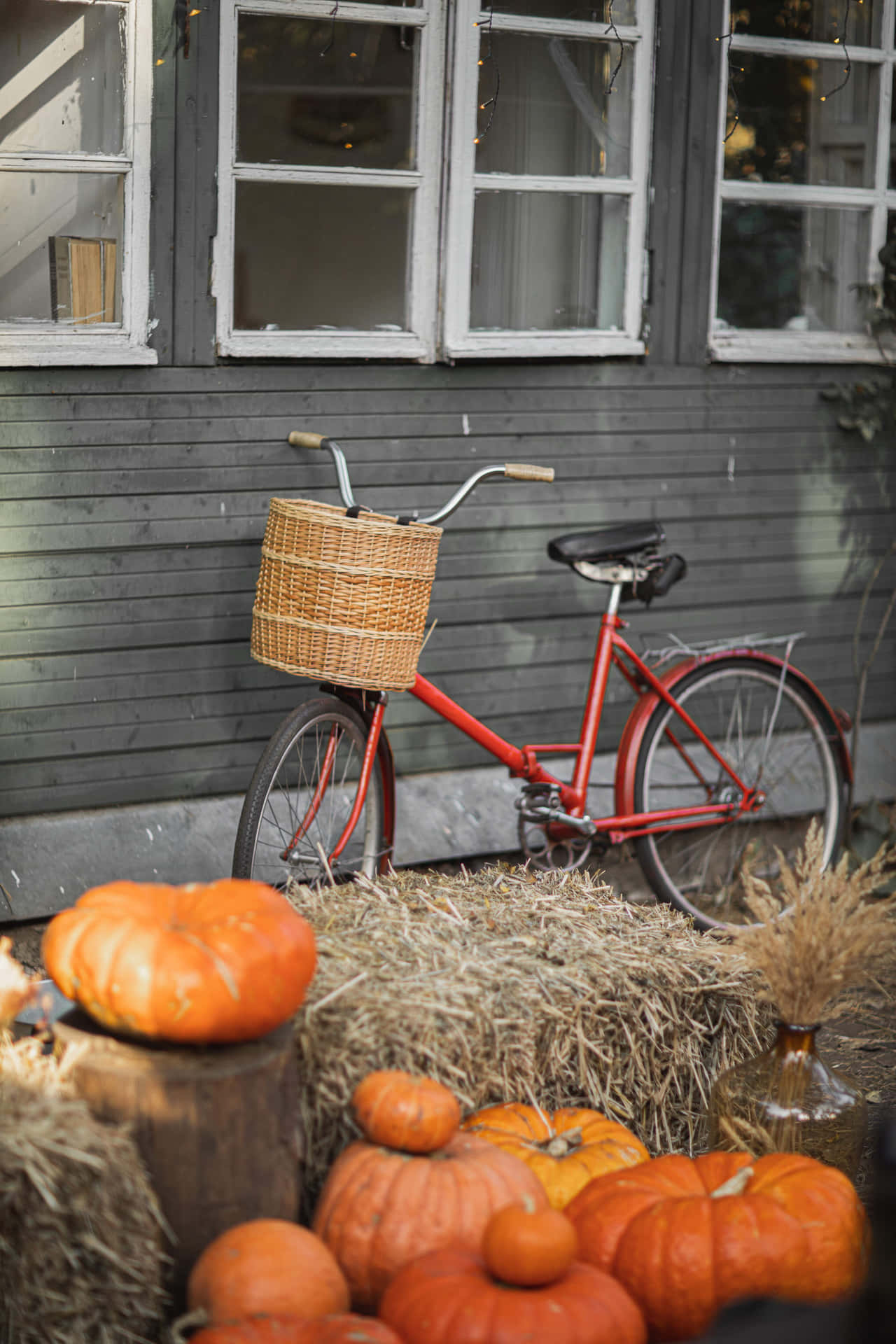 Bicycle At A Pumpkin Patch Picture