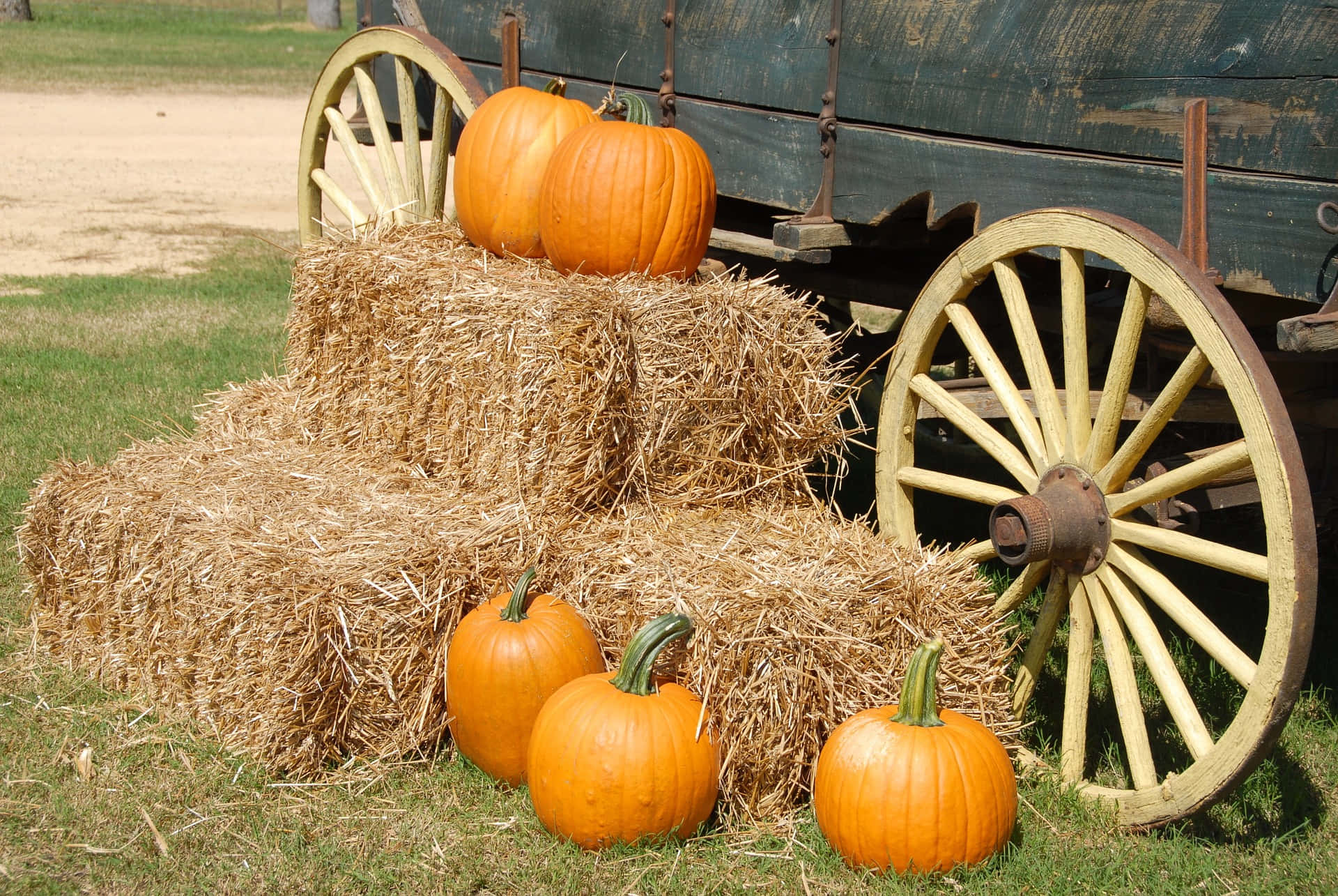 Pumpkin Patch With A Wagon And Hay Picture