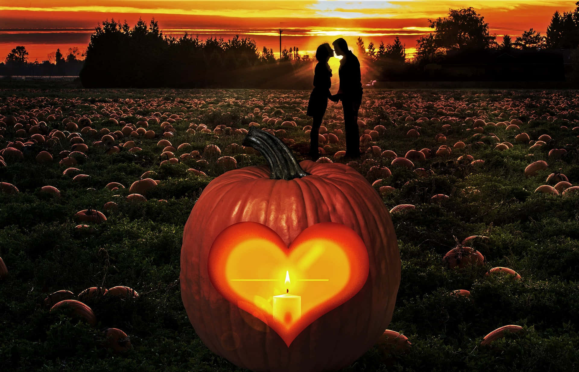 Lovers At A Pumpkin Patch Picture