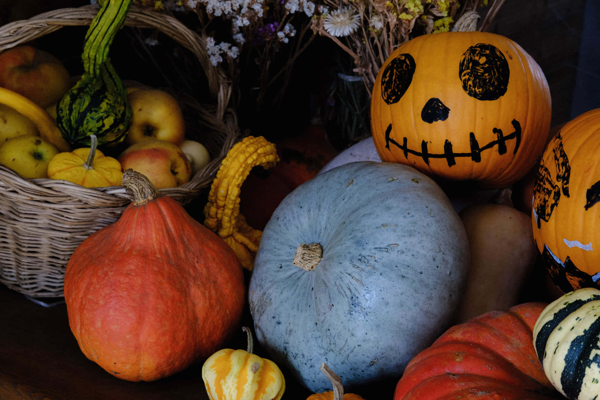 Enjoy the Harvest Fun at the Local Pumpkin Patch