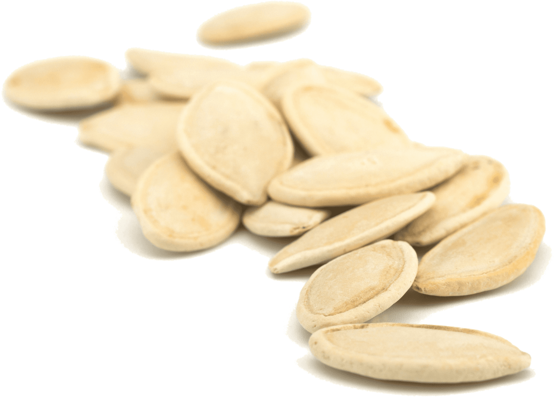 Pumpkin Seeds Pile Isolated PNG