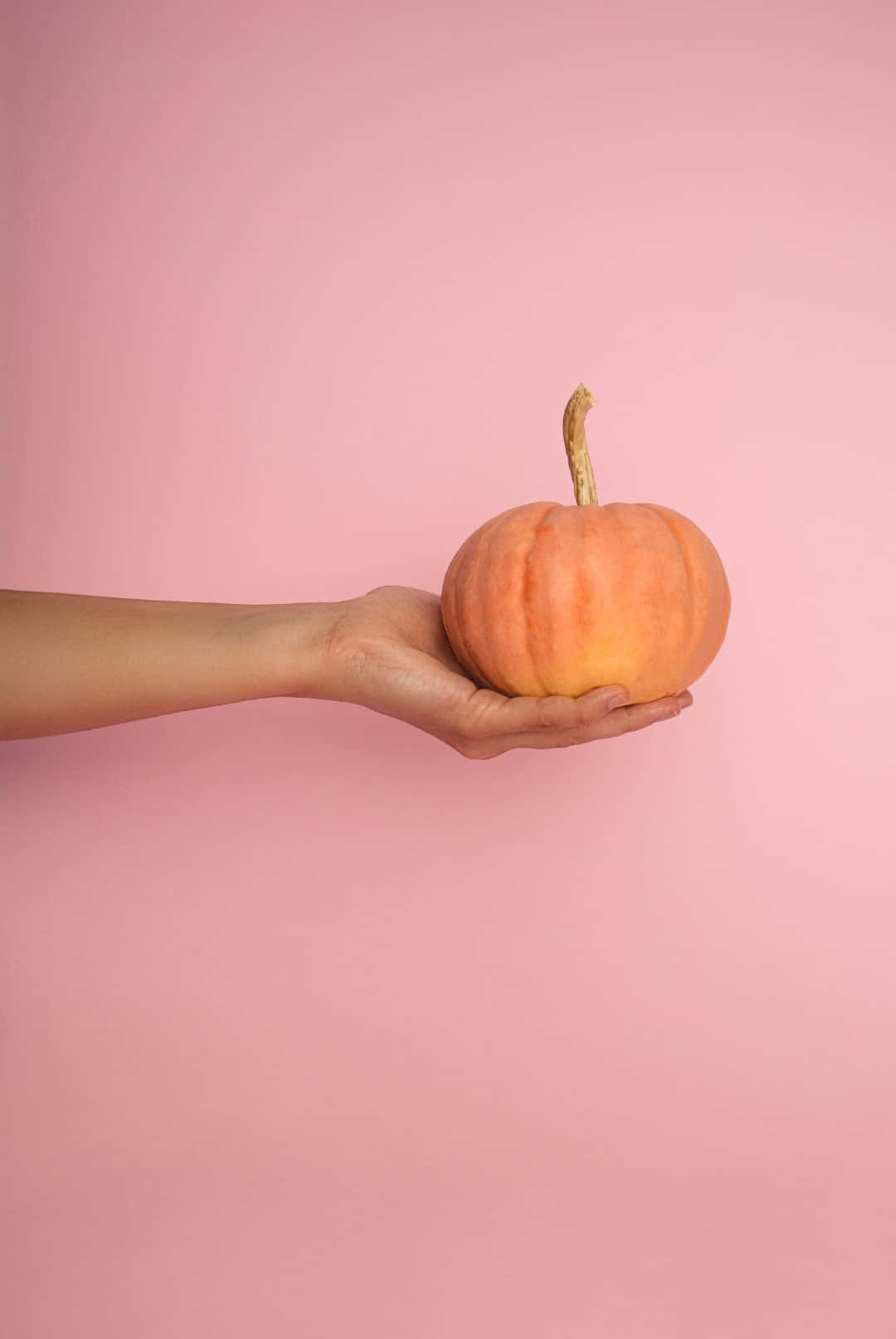 Pumpkinin Hand Against Pink Background Wallpaper