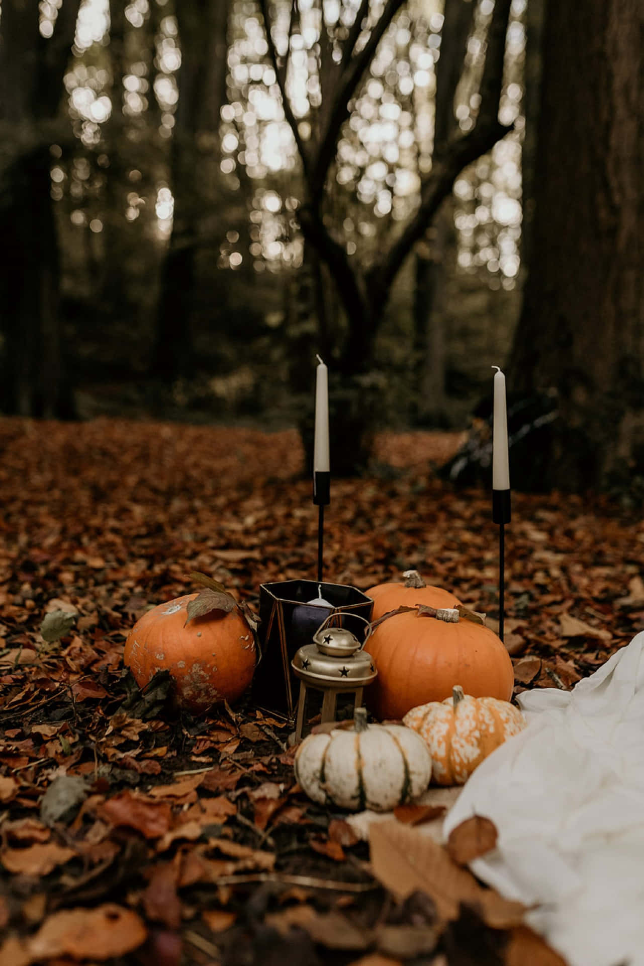 Pumpkins Candles And A Lamp Aesthetic Autumn Halloween Wallpaper
