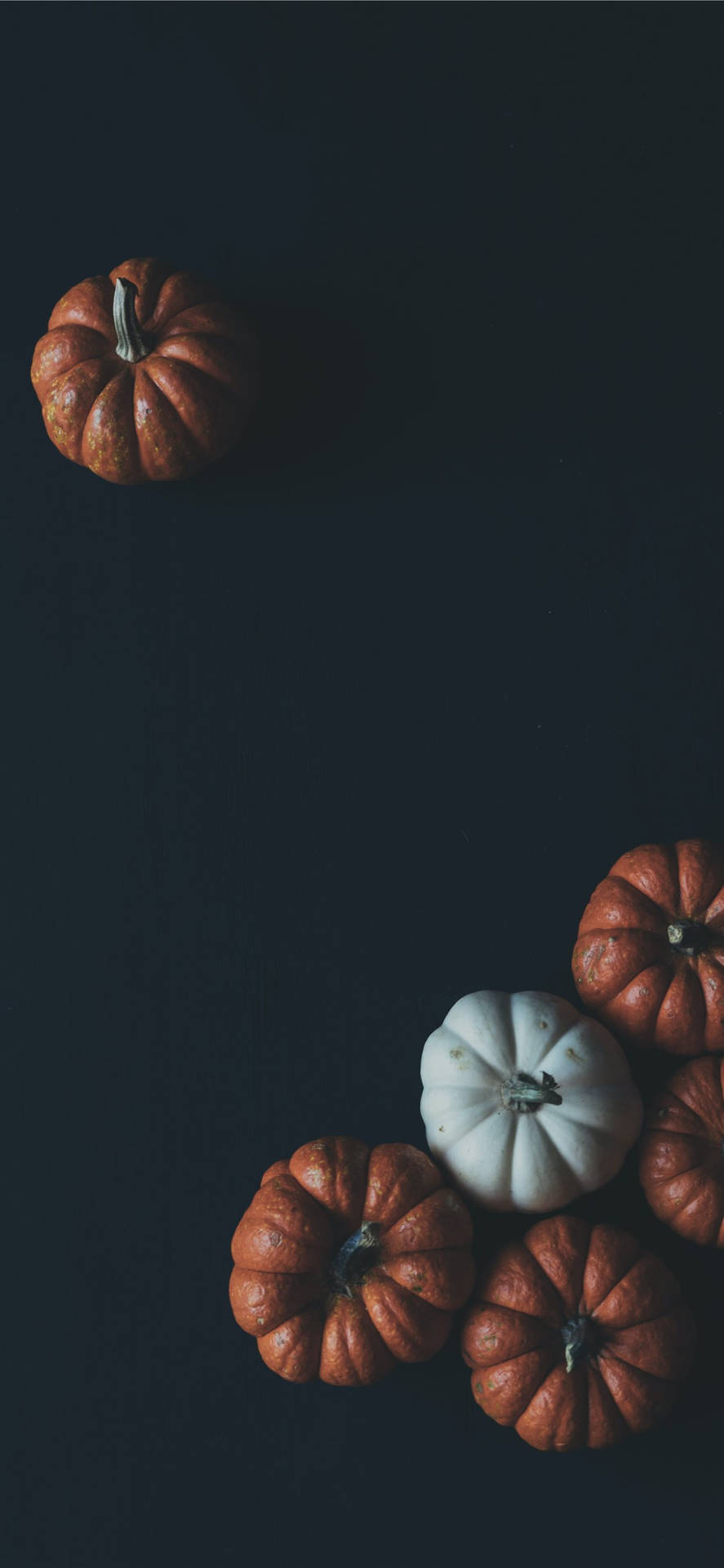 Pumpkins On Black Background Thanksgiving Iphone Wallpaper