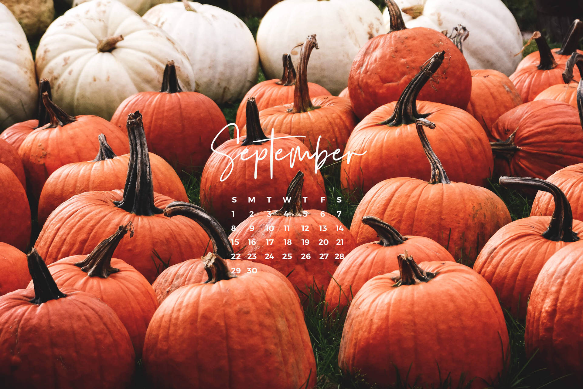 Pumpkins September Calendar