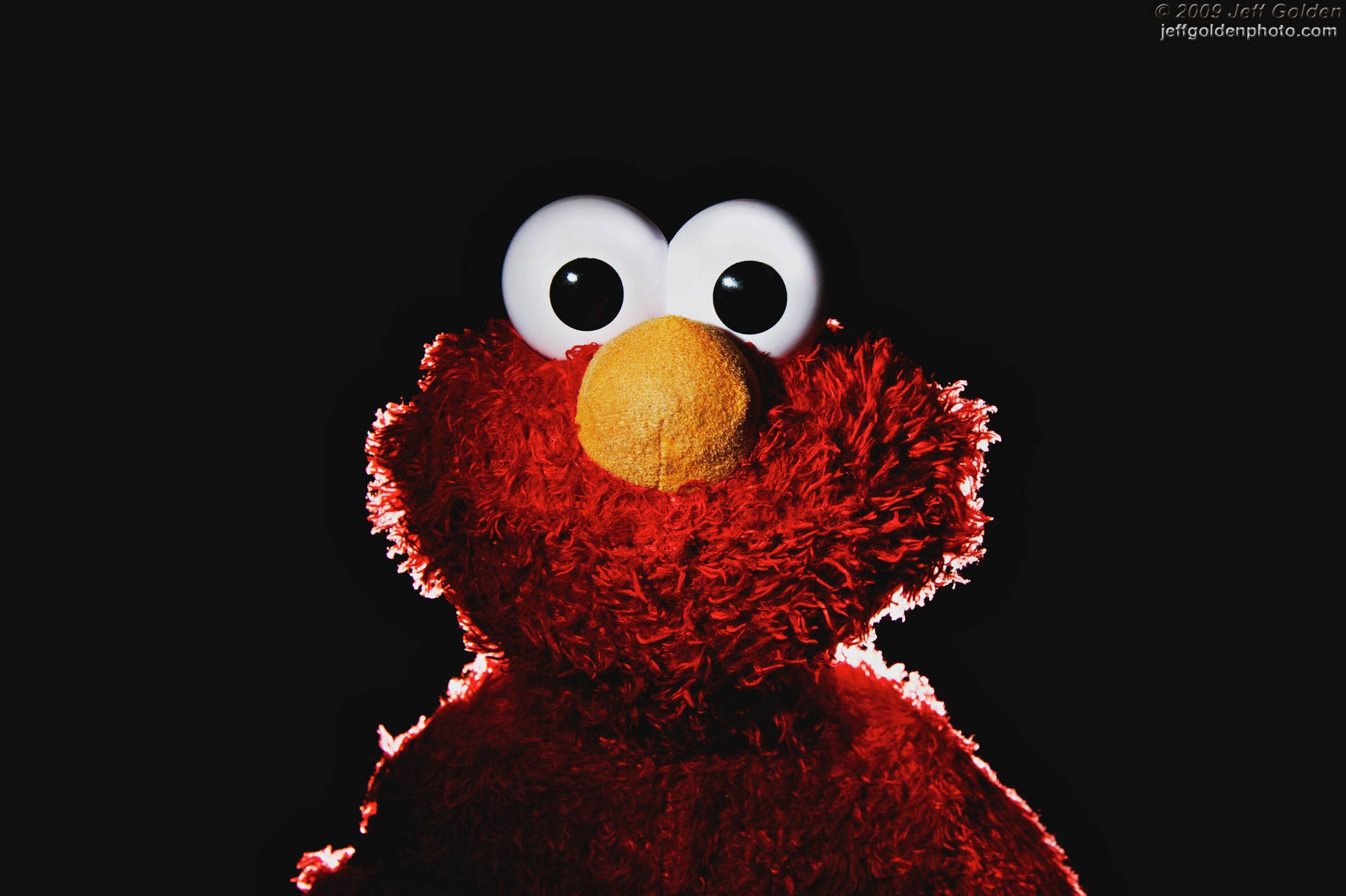 Puppet Elmo In Black