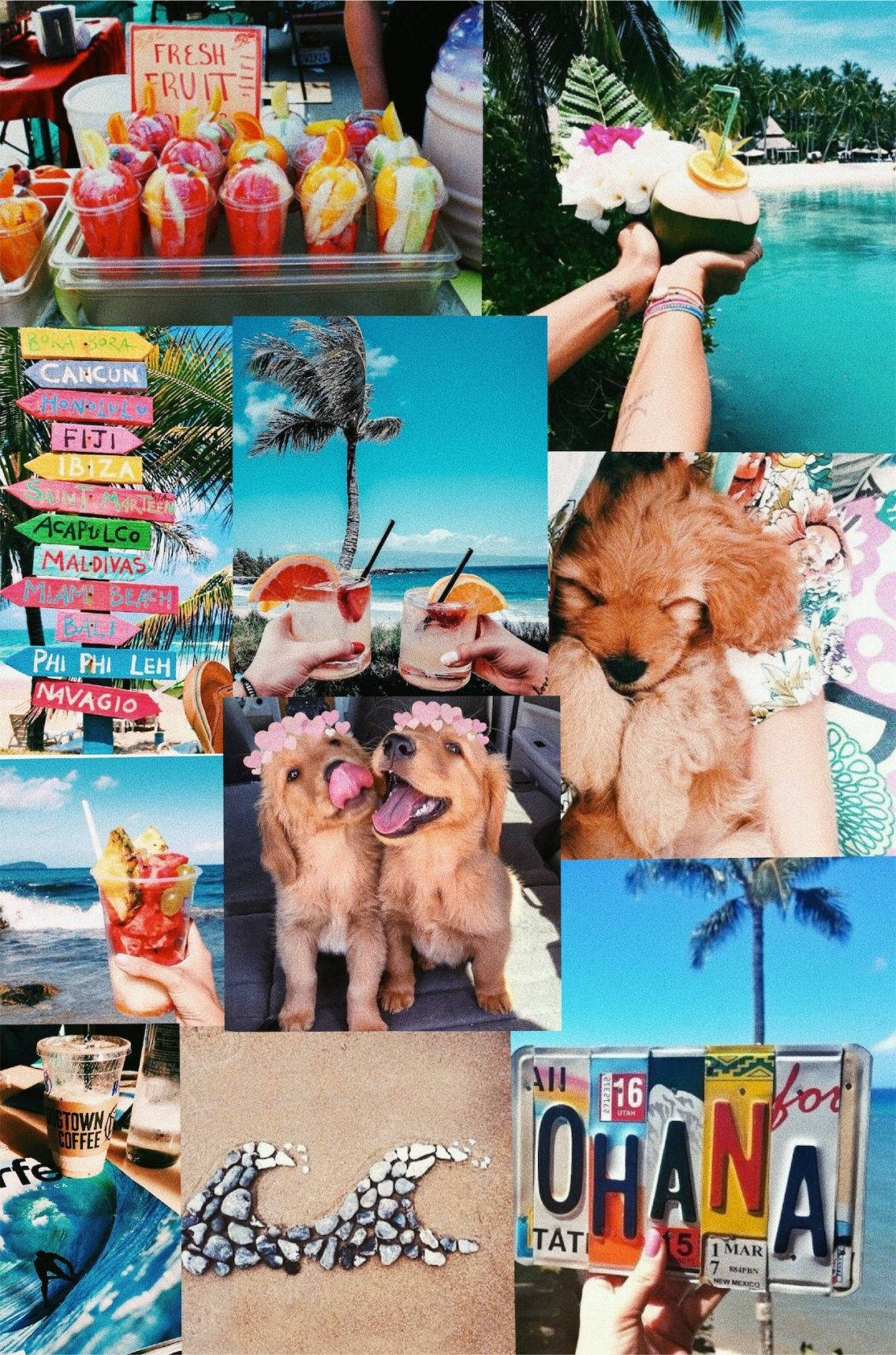 Puppies Summer Vibes Wallpaper
