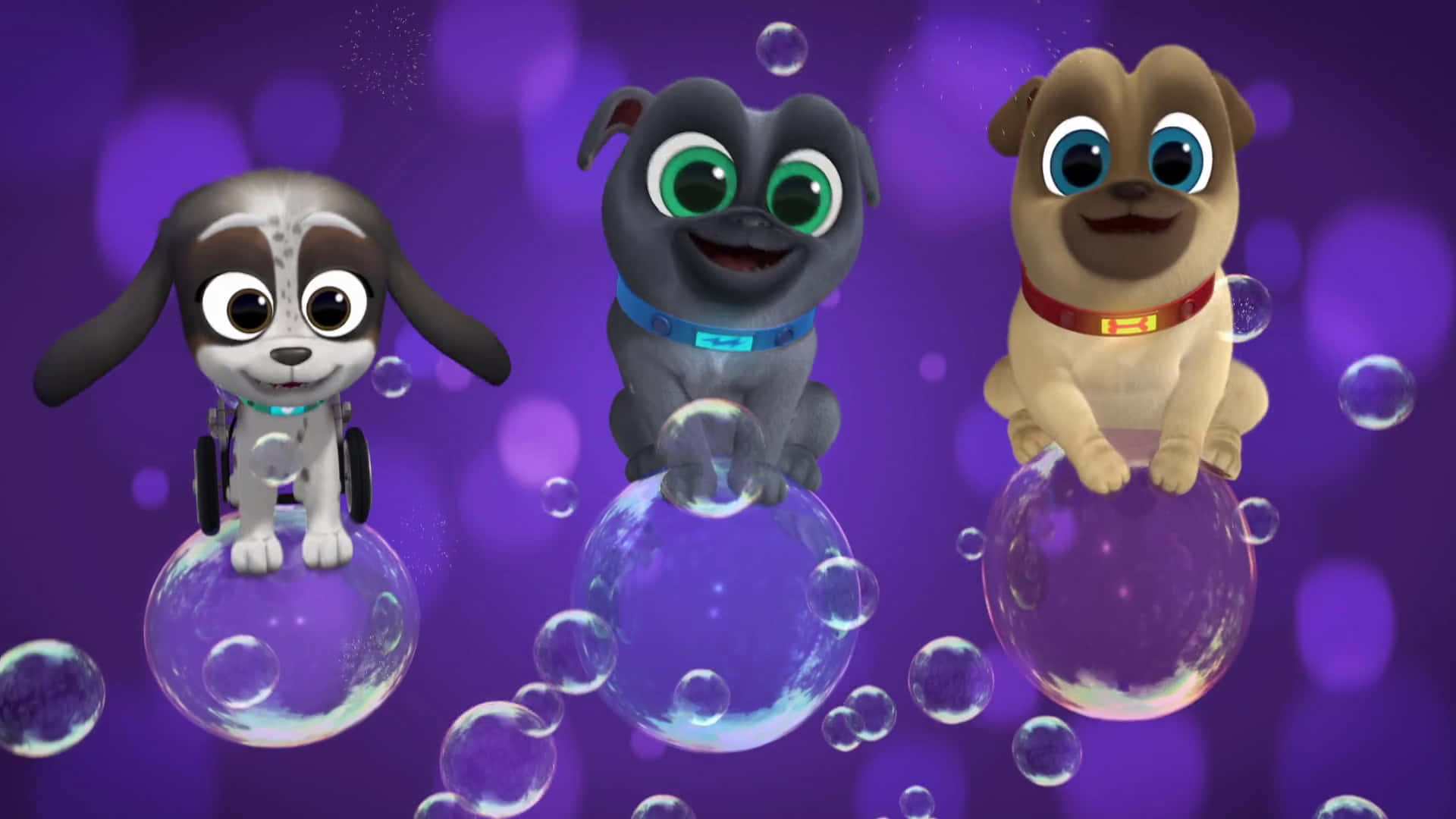 Bingo And Rolly From Puppy Dog Pals Wallpaper