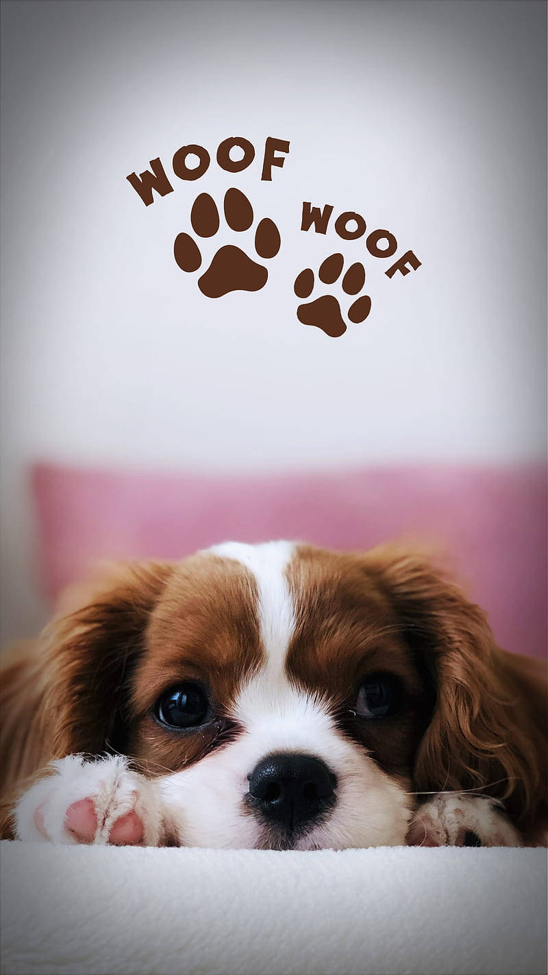 Puppy Dog Paw Marks Background